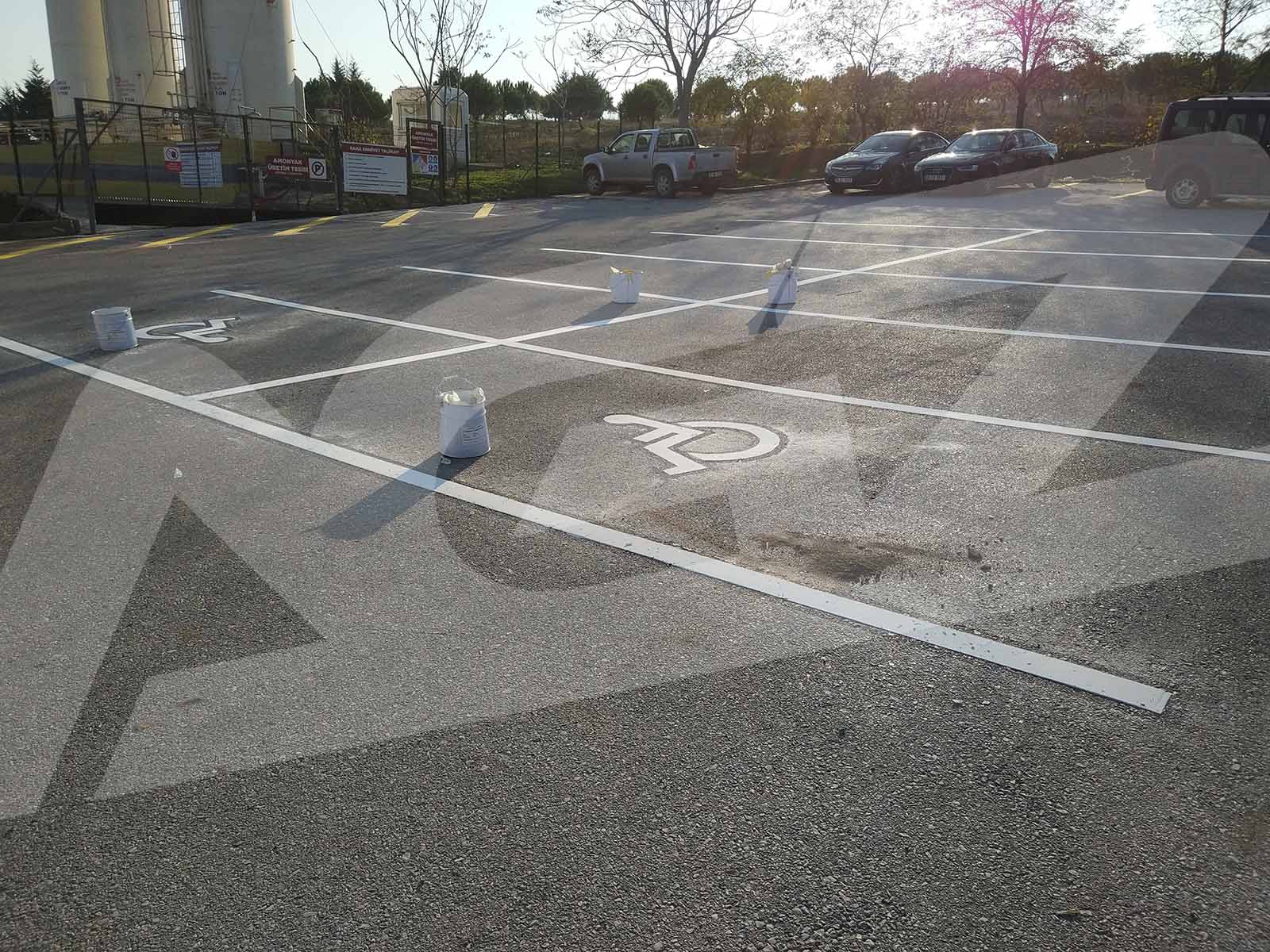 Kurum ve Sosyal Alanlarda Engelli Araç Park Alanı Boya ve Yönl. Uyg